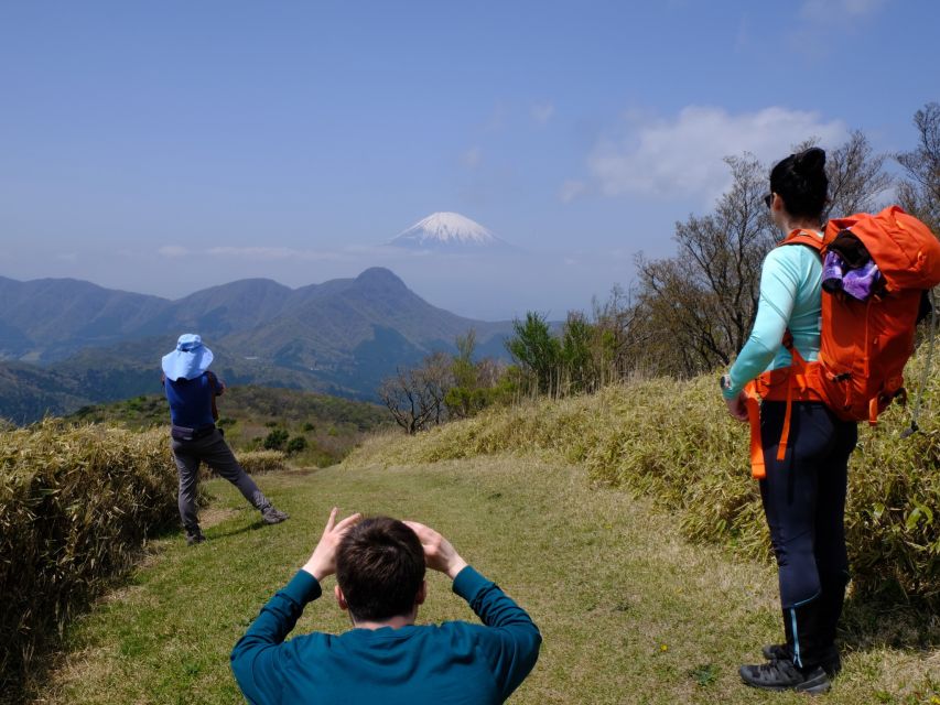 Hakone: Traverse the Hakone Caldera and Enjoy Onsen - Tour Description