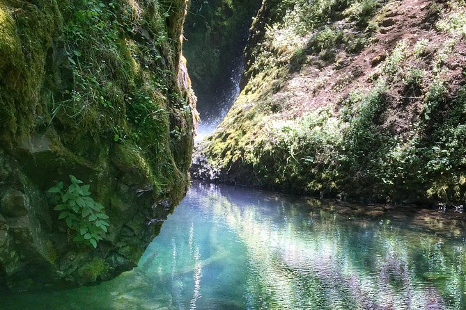 Half-Day Columbia River Gorge and Waterfall Hiking Tour - Inclusions