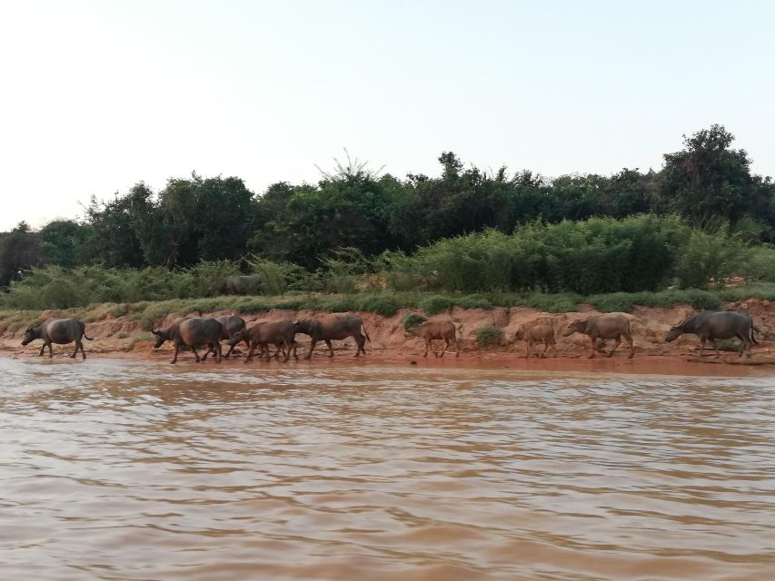 Half Day Tour to Kampong Phluk Village and Tonle Sap Lake - Booking Information and Pricing