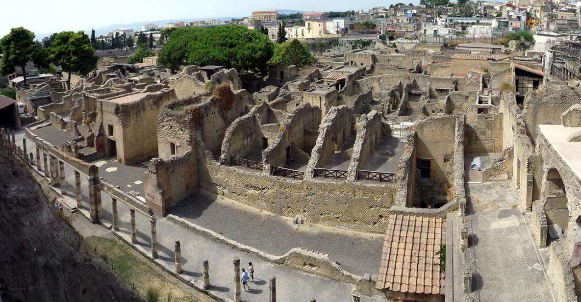 Herculaneum: 2-Hour Private Tour of the Ruins - Private Group Tours and Guides