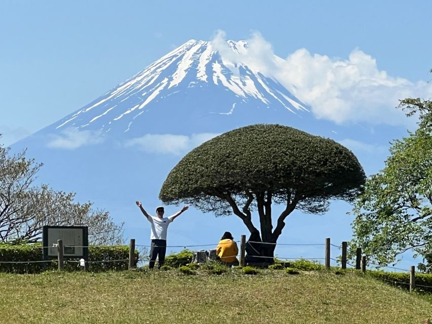 Hike Japan Heritage Hakone Hachiri of Old Tokaido Highway - Tour Description