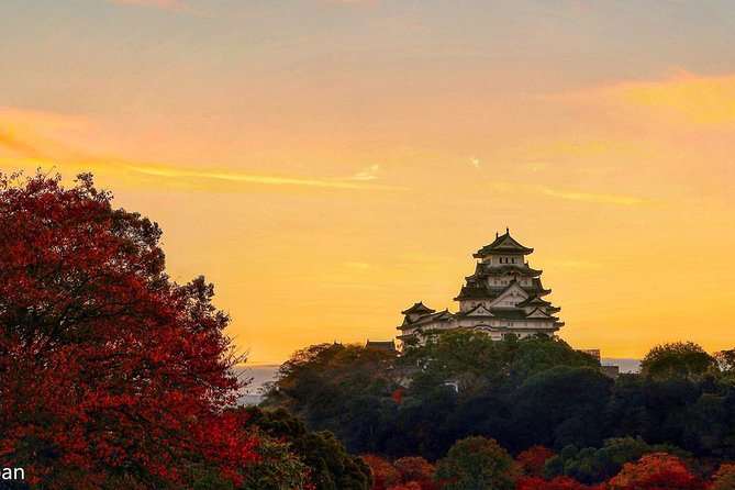 Himeji Full-Day Private Tour With Government-Licensed Guide - Meeting and Pickup Details
