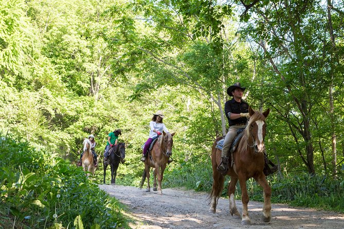 Horseback-Riding in a Country Side in Sapporo - Private Transfer Is Included - Inclusions and Offerings