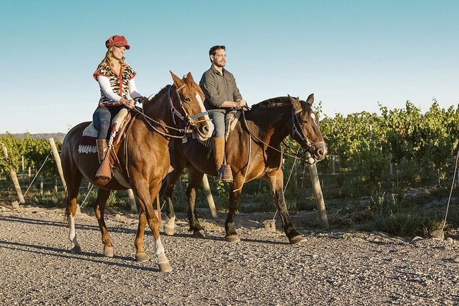 Horseback Riding in Mendoza Through the Vineyards and River With Optional Asado. - Cancellation and Refund Policy Details