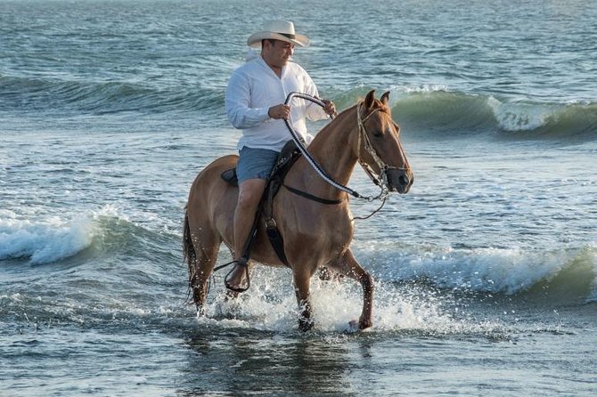 Horseback Riding on the Beach With Paso Colombiano Show - Indigenous Horse Info
