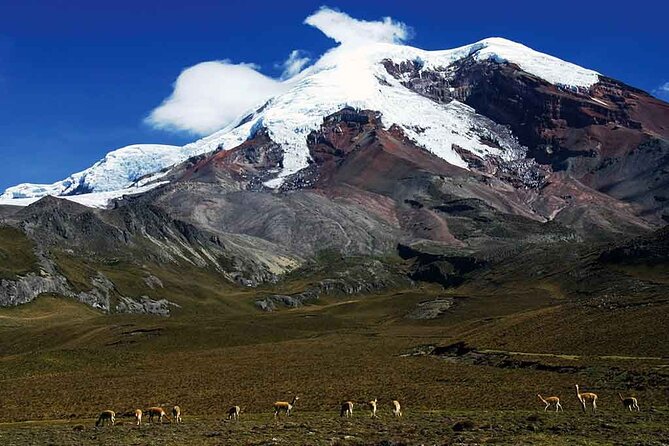 Inspiring Ecuador Highligts 9 Days - Day 2: Otavalo Market Visit