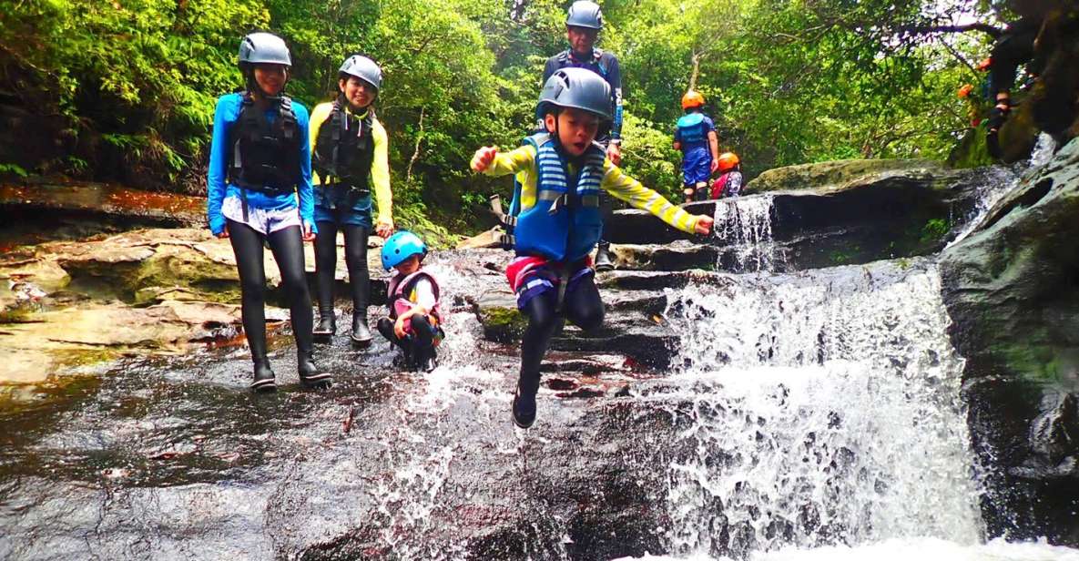 Iriomote Island: Kayaking and Canyoning Tour - Experience Description
