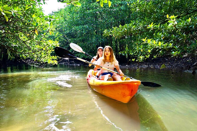 Iriomote Sup/Canoe in a World Heritage&Limestone Cave Exploration - Equipment Needed