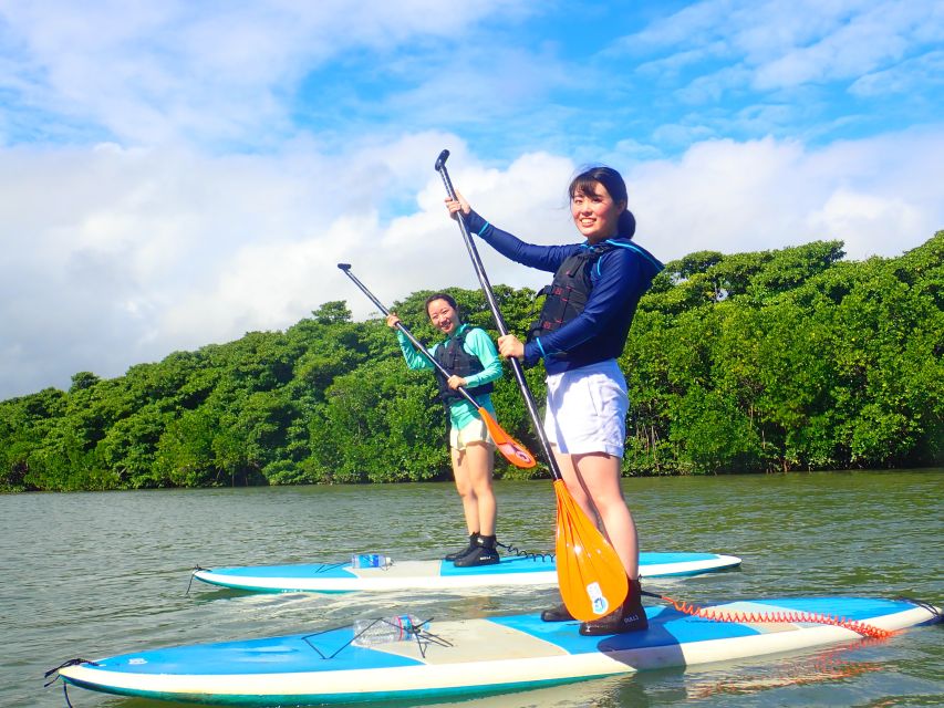 Ishigaki Island: SUP/Kayaking and Snorkeling at Blue Cave - Activity Experience