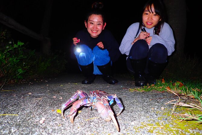 [Ishigaki] Night Jungle Tour - Cancellation Policy