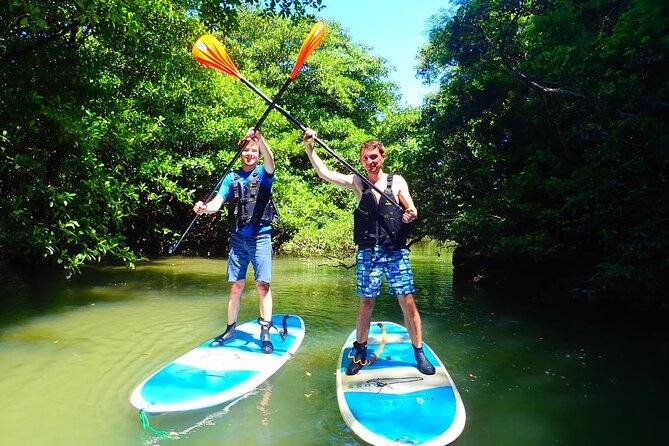 [Ishigaki]Mangrove SUP/Canoe Blue Cave Snorkeling - Reviews