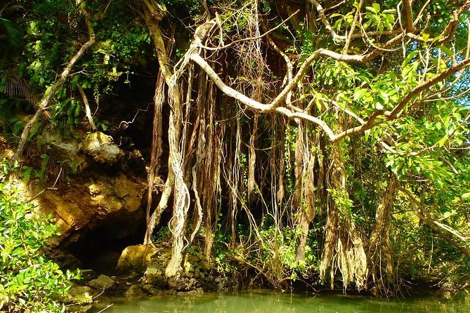 Kadena Mangrove Kayak Tour  - Kadena-cho - Inclusions and Logistics