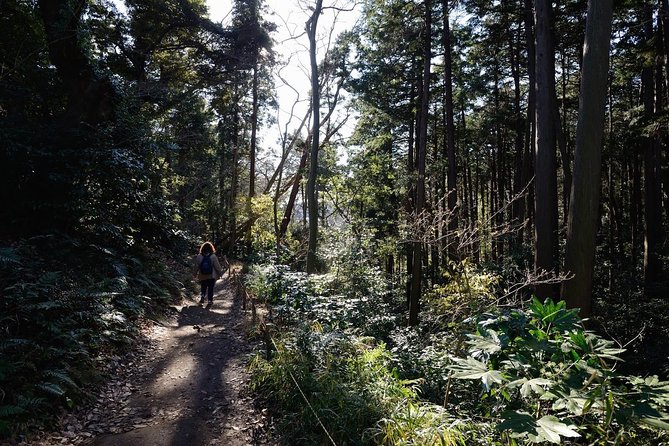 Kamakura One Day Hike Tour With Government-Licensed Guide - Customizable Itinerary