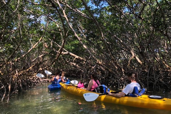 Key West Mangrove Kayak Eco Tour - Tour Description