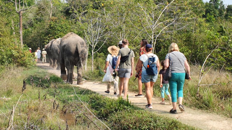 Kulen Elephant Forest & 1000 Lingas River Bed - Experience Highlights