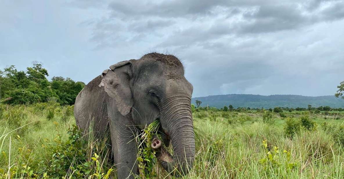 Kulen Mountain Day Trip With Picnic & Kulen Elephant Forest - Rural Village Exploration