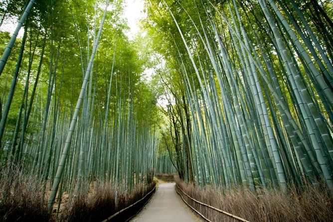 Kyoto Arashiyama Rickshaw Tour With Bamboo Forest - Logistics and Customization