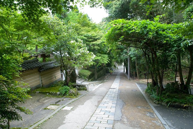 Kyoto Bamboo Forest Electric Bike Tour - Tour Highlights