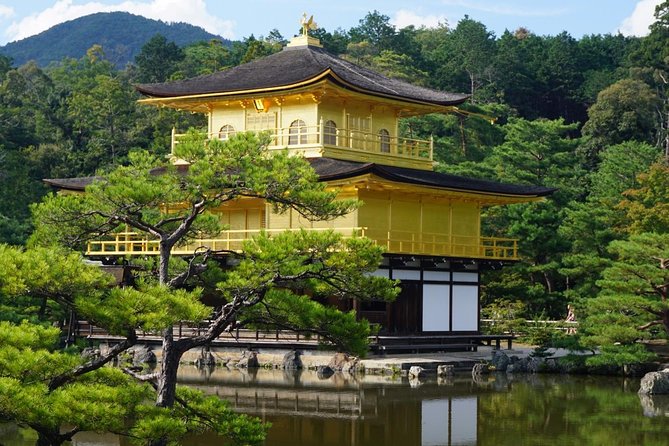 Kyoto Day Trip Using Private Car With English Driver (Up to 9) - Itinerary and Services