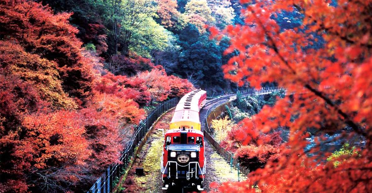 Kyoto Full Day Tour: Visiti Kyoto Sanzen-In and Arashiyama - Experience Highlights