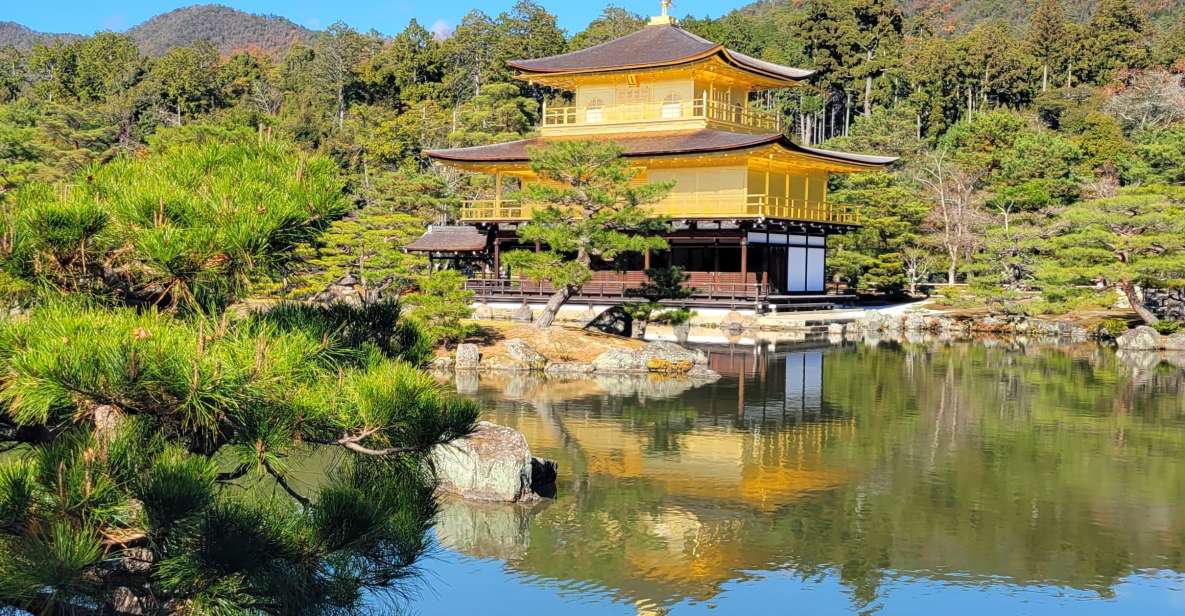 Kyoto: Private Walking Tour With Government Certified Guide - Experience