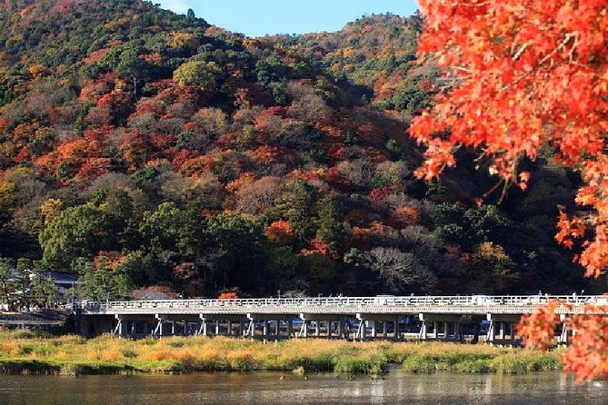 Kyoto Sagano Bamboo Grove & Arashiyama Walking Tour - Traveler Reviews