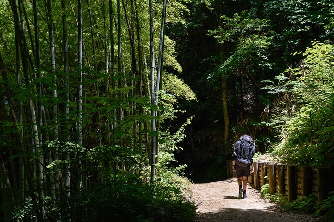 Magome & Tsumago Nakasendo Trail Day Hike With Government-Licensed Guide - Guide and Group Information