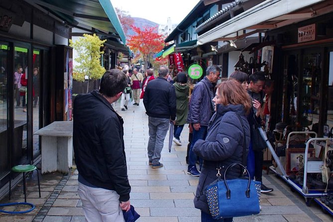 Matsumoto Half-Day Private Tour With Government Licensed Guide (Mar ) - Guide Options