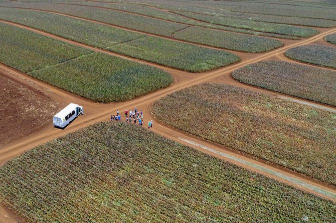 Maui Pineapple Farm Tour in Haliimaile - Cancellation Policy