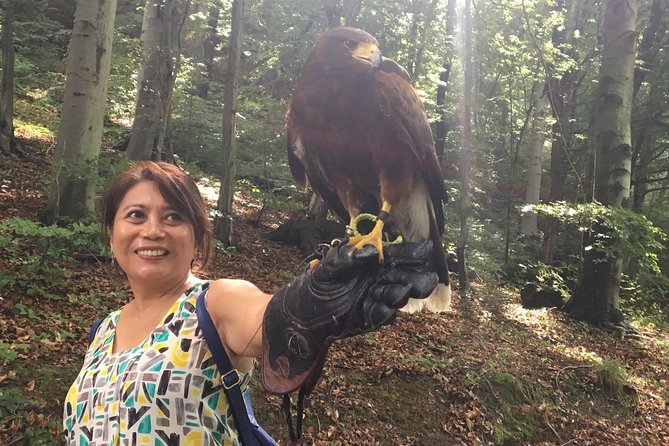 Medvednica Nature Park Falconry Tour From Zagreb - Meeting Point and Logistics