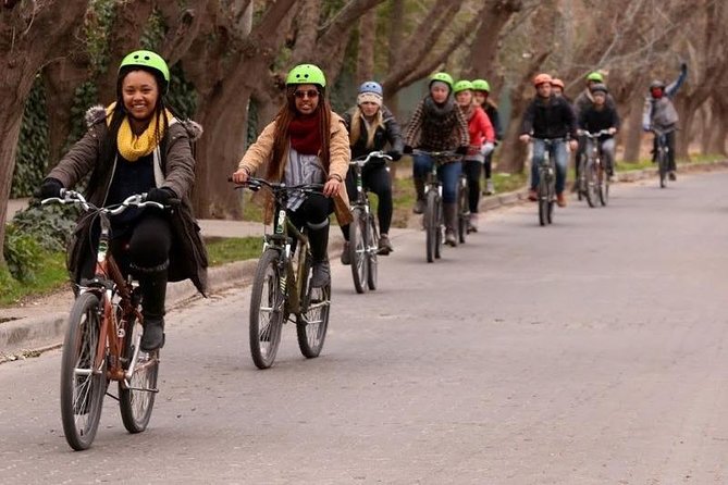Mendoza: Winery Tours By Bike (Mar ) - Tour Overview