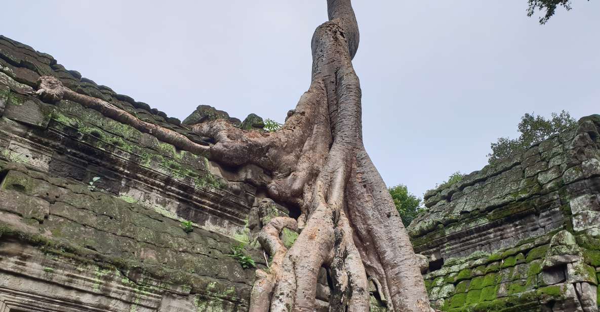 Mixture of Temples and Waterfall. - Tour Guide and Transportation Details