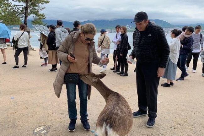 Miyajima Half-Day Private Tour With Government Licensed Guide - Meeting and Pickup Details