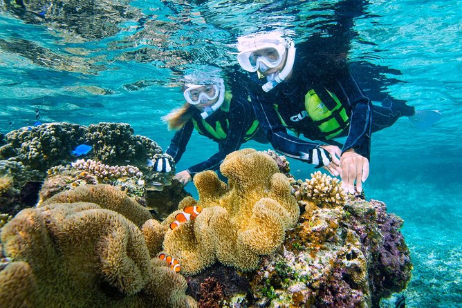 Miyakojima / Snorkel Tour to Enjoy Coral and Fish - Snorkeling Gear Provided
