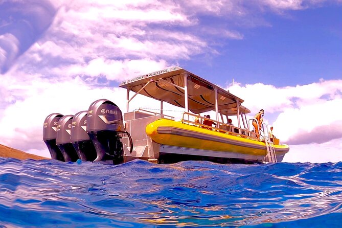 Molokini Crater Zodiak Adventure - Snorkel and Turtle Cove Swim - Booking and Check-in Details