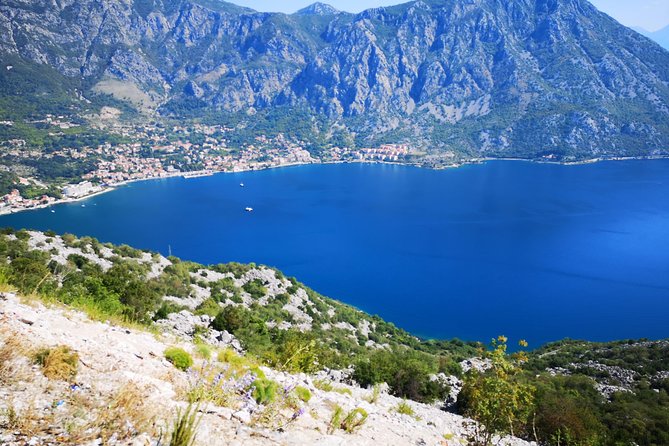 Montenegro Day Tour - Traveler Reviews and Responses