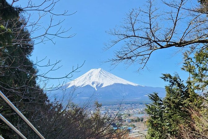 Mount Fuji 1-Day Private Tour With English Speaking Driver - Booking Process and Flexibility