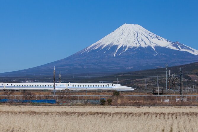 Mt. Fuji and Hakone Day Trip From Tokyo With Bullet Train Option - Booking Details and Price