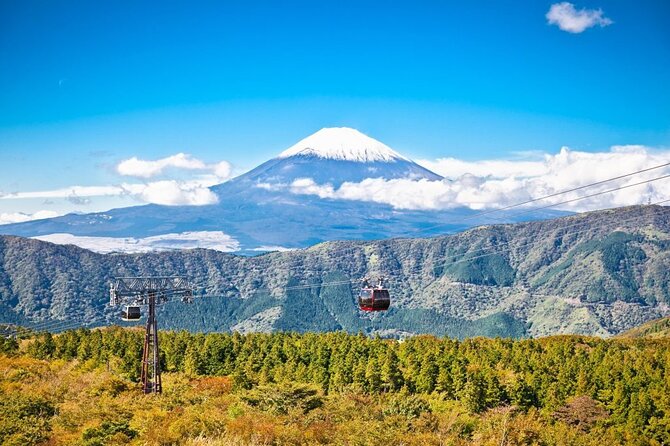 Mt. Fuji and Hakone Private Tour With English Speaking Driver - Inclusions and Transportation Details