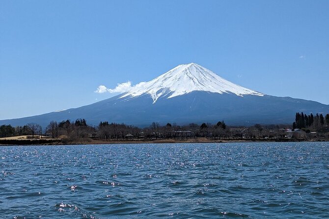 Mt. Fuji and Lake Kawaguchi Day Trip With English Speaking Driver - Cancellation Policy and Booking Flexibility
