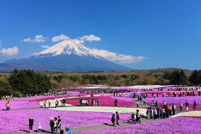 Mt. Fuji, Hakone Full-Day Private Tour With English Driver Guide - Traveler Feedback and Reviews