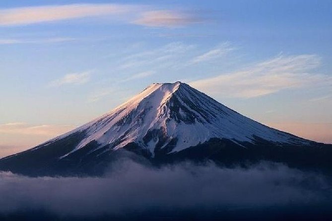 Mt Fuji, Hakone Lake Ashi Cruise Bullet Train Day Trip From Tokyo - Inclusions