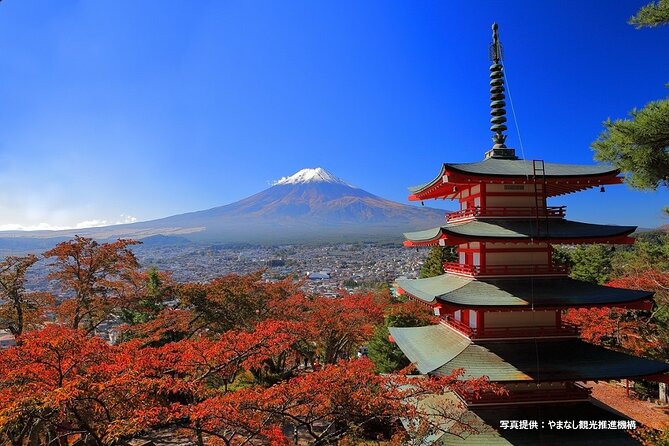 Mt.Fuji, Oishi Park & Arakurayama Sengen Park Bus Tour From Tokyo - Cancellation Policy and Refund Details