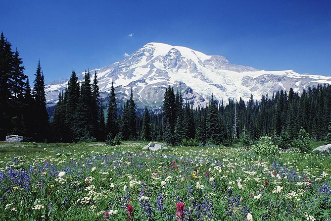 Mt. Rainier Day Tour From Seattle - Tour Itinerary
