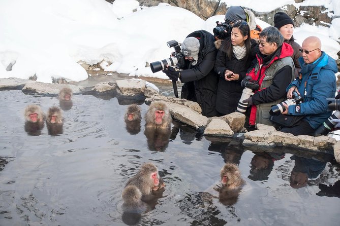 Nagano Full-Day Cycling Tour With Snow Monkey, Obuse Town, Apple Orchards - Meeting Point and Time