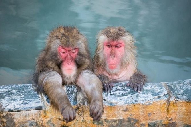 Nagano Snow Monkey 1 Day Tour With Beef Sukiyaki Lunch From Tokyo - Lunch Details