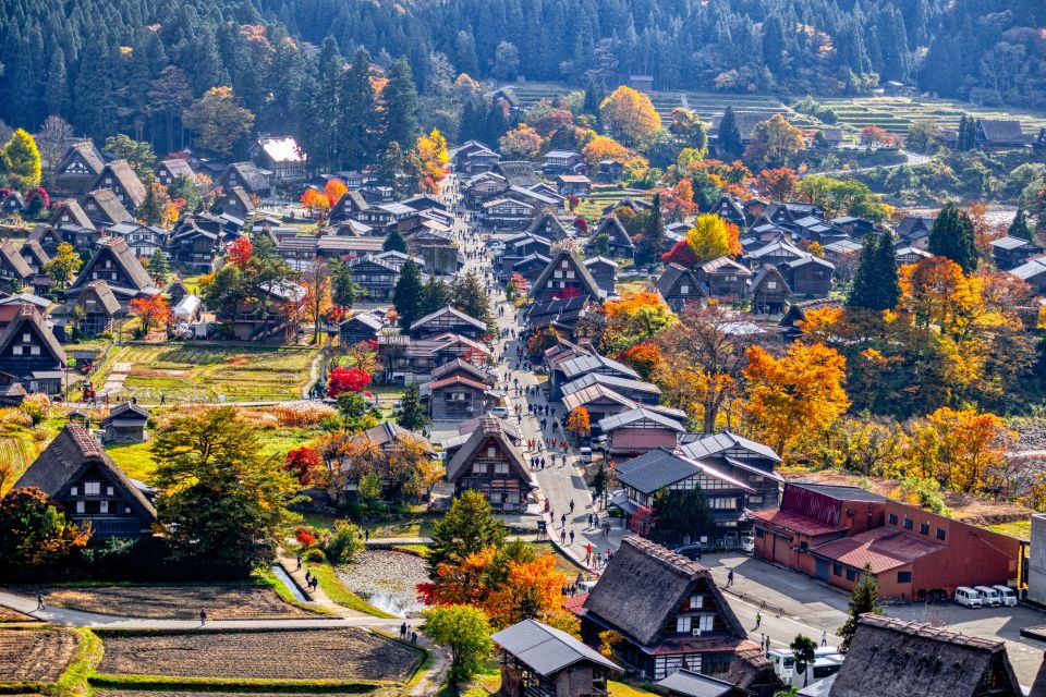 Nagoya: Hida Takayama & World Heritage Shirakawa-go Day Tour - Tour Highlights and Itineraries
