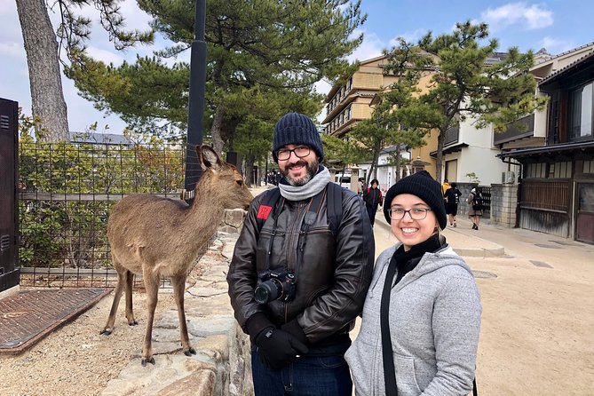 Nara Full-Day Private Tour With Government-Licensed Guide - Logistics