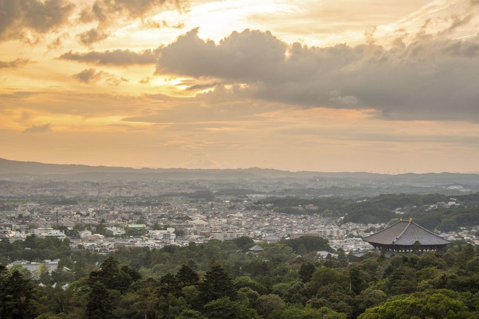 Nara Like a Local: Customized Guided Tour - Experience Offered