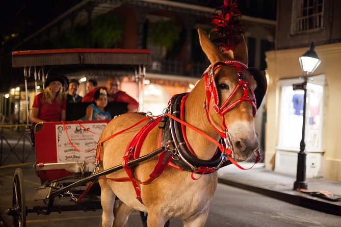 New Orleans Small-Group Haunted History Carriage Tour - Cancellation Policy